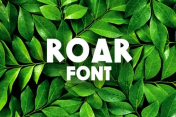 Choosing Roar: Testing a Classic Display Font in a Modern Web Layout