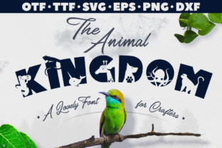 Working with The Animal Kingdom: A Designer's Honest Review